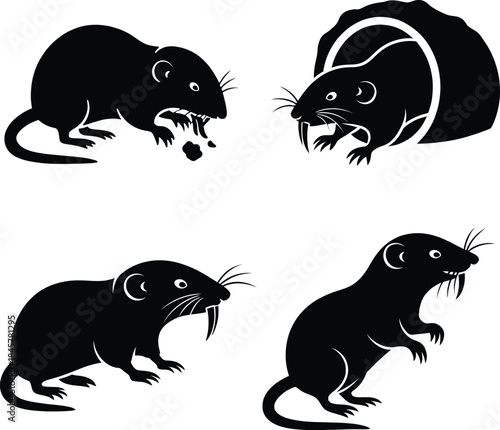 Vector silhouette illustration set of wild rat or mouse in various poses, including an aggressive one with open mouth, pest rodent symbol collection.