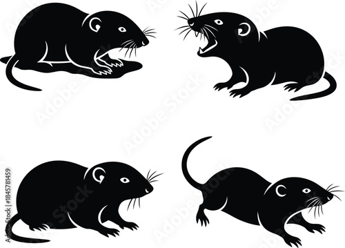 Vector silhouette illustration set of wild rat or mice in various actions and poses, including one showing its teeth, pest animal collection.