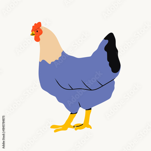 Domestic Chicken. Side view. Farm bird, organic eco food concept. Cute farm animal. Hand drawn trendy Vector illustration. Isolated design element. Logo, sticker, icon template