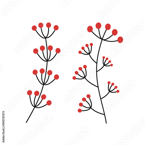 Minimalist Red Berry Branches Botanical Illustration. Red berry twig illustration. Flower inflorescences. 