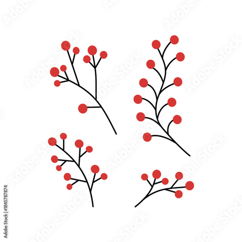 Line Art Red Berry Branches for Winter Decor. Winter berry branches illustration. Red berries botanical elements