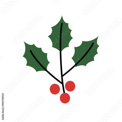 Simple Holly Sprig With Red Berries. Winter Evergreen Holly Berries. Decorative Holly Sprig Element
