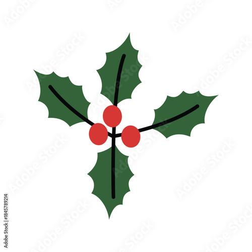 Simple Holly Sprig With Red Berries For Christmas. Christmas Holly Leaves and Berries. Classic Holly Sprig