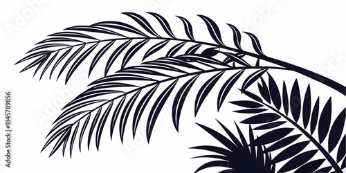 Vector illustration of tropical palm leaves, vector
