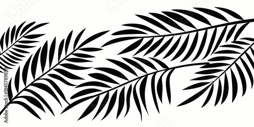 Stylized palm fronds in a minimalist design, vector