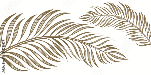 Elegant golden tropical leaves form a decorative border, vector