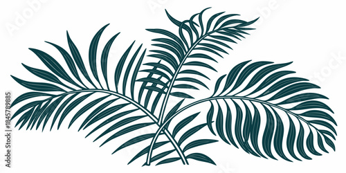 Tropical palm leaves illustration, vector
