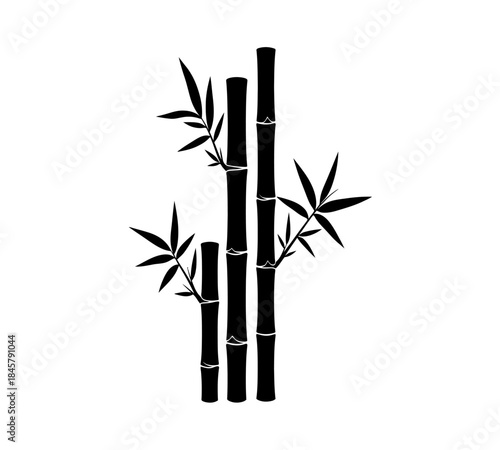 A simple black and white illustration depicts several stalks of bamboo with leaves conveying a sense of tranquility