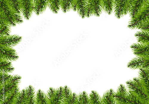 Fir Tree Bolder And White Backgroud