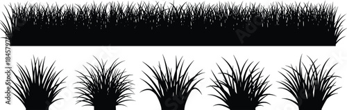 Black silhouette grass set with horizontal strip and clump variations for nature, landscaping, and design themes.