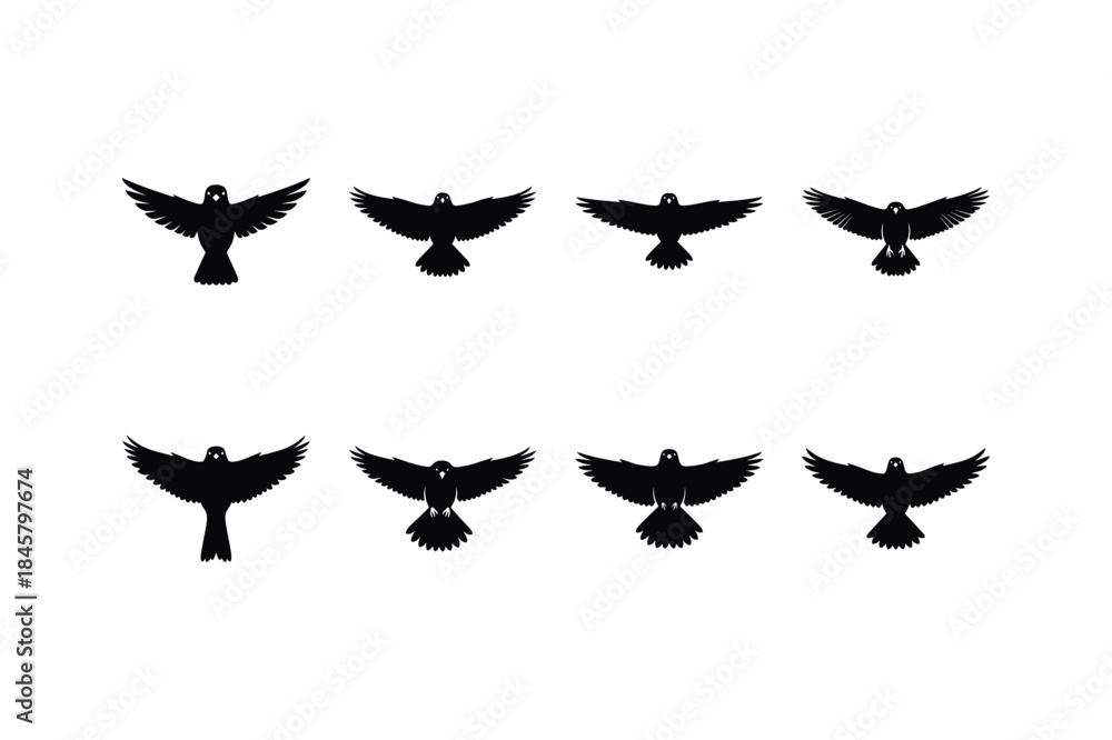 Fototapeta premium bird landing silhouette vector set
