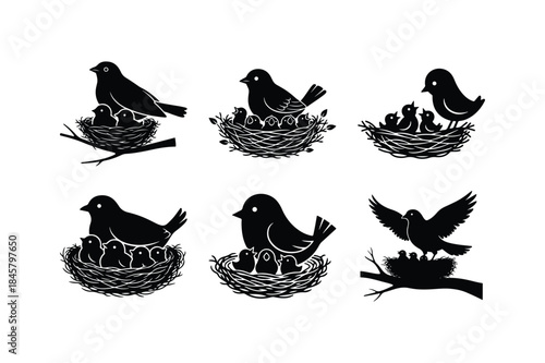 bird in nest with chicks silhouette set