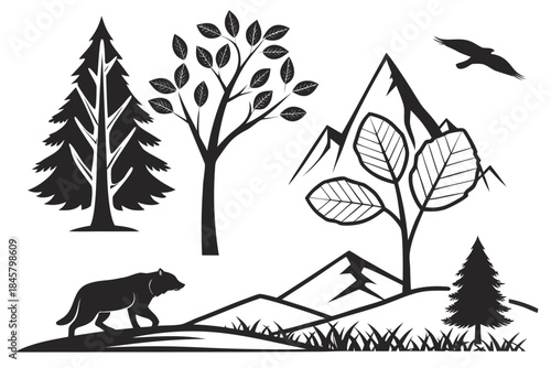 Placeholder image display