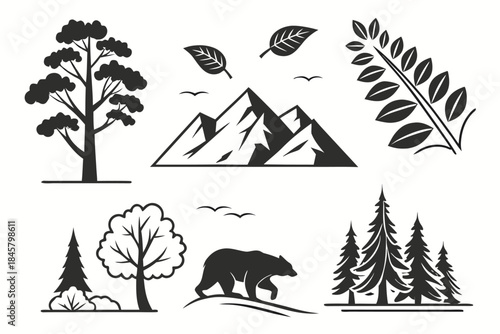 Placeholder image display