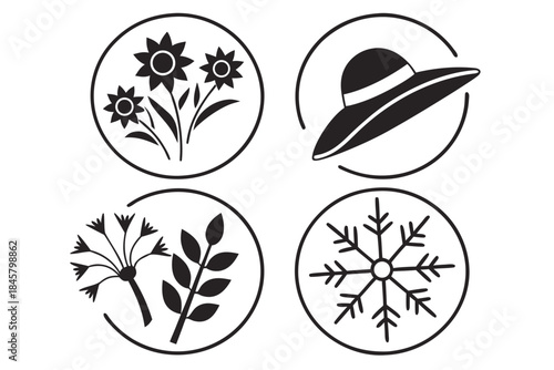 Placeholder image display