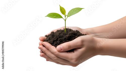 Human hands holding a vibrant green seedling in fertile soil, symbolizing growth, new life, hope, and environmental protection on a black background.