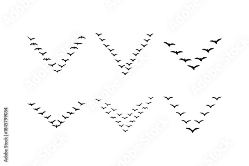flying flock v formation silhouette vector set