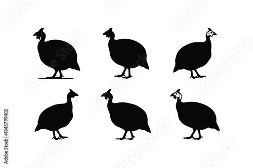 guinea fowl bird silhouette vector set