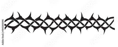 black crown of thorns image isolated on white background