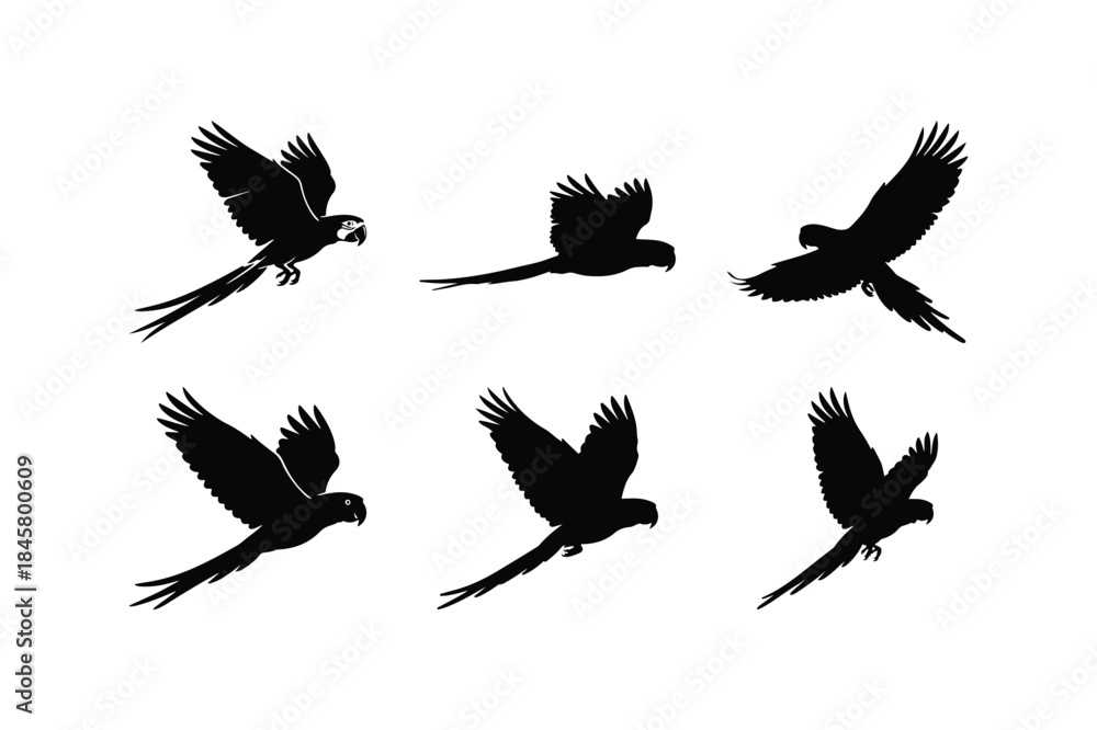 Fototapeta premium macaw flying bird silhouette vector set