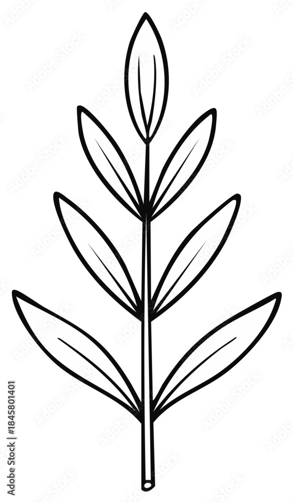 Obraz premium Stylized outline drawing of a branch with multiple leaves