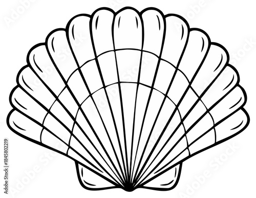 Outline illustration of a scallop seashell with elegant lines, a marine icon
