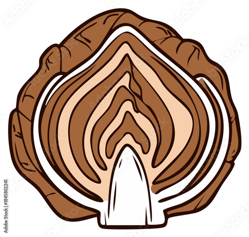 Stylized vector illustration of a red cabbage cut in half showing internal layers