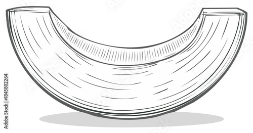 Black and white illustration of a section of a melon