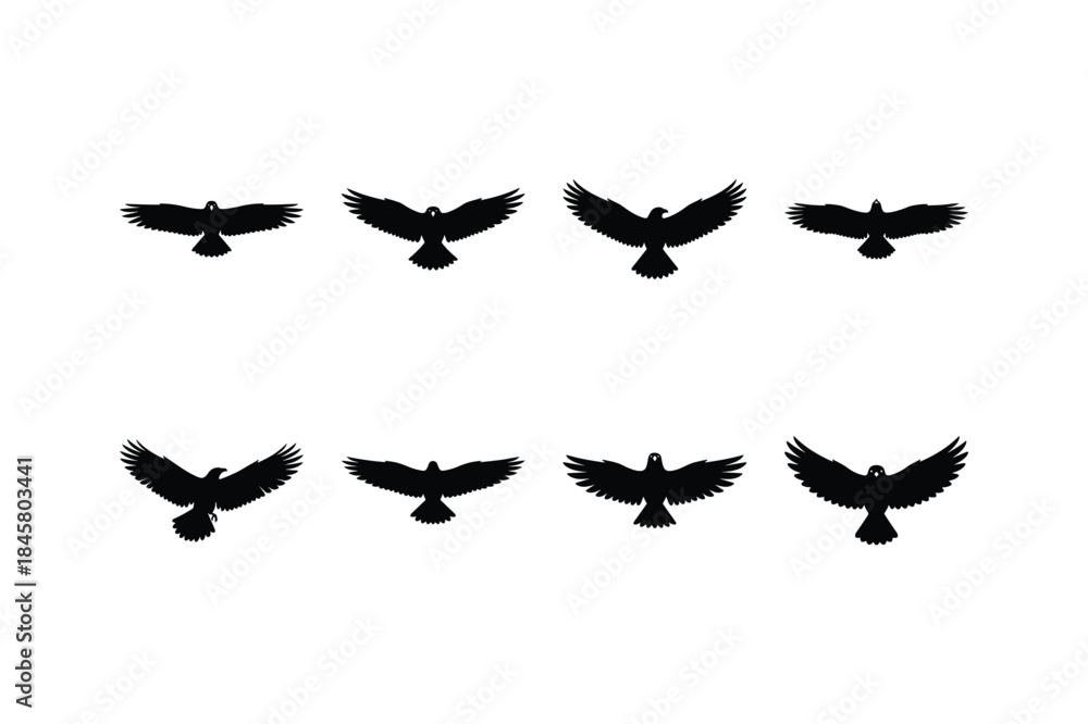 Fototapeta premium vulture flying wide wings silhouette vector set