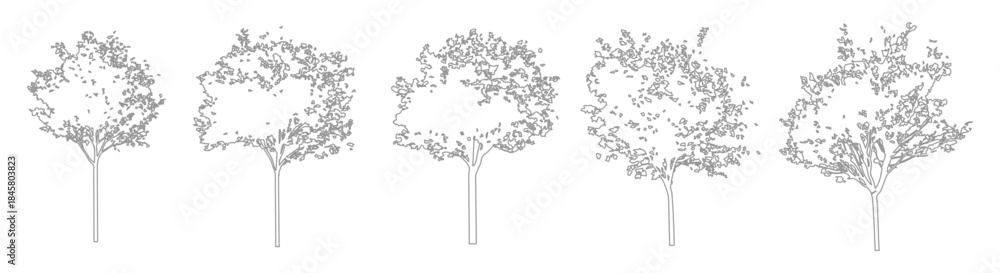 Fototapeta premium Clean Line CAD Tree Set, Side View Vegetation Drawings for Architectural and Landscape Plans