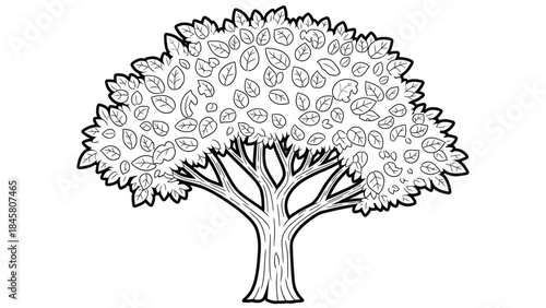 Line art illustration of a lush tree with detailed leaves, ideal for coloring pages or educational resources