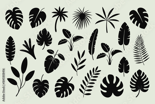 Collection of tropical leaves and palms in black silhouette