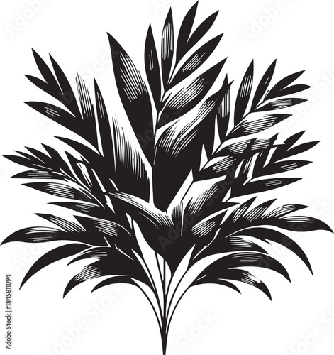 Abstract Palm Leaf Pattern Silhouette Texture