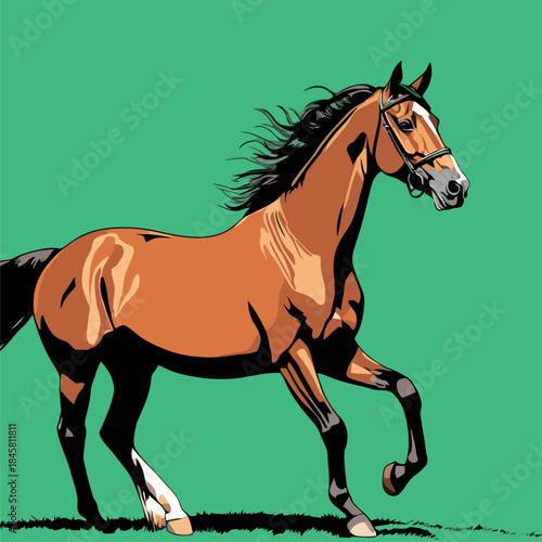 nice horse vector image