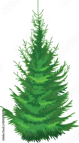 Green spruce tree in realistic style isolated on white background