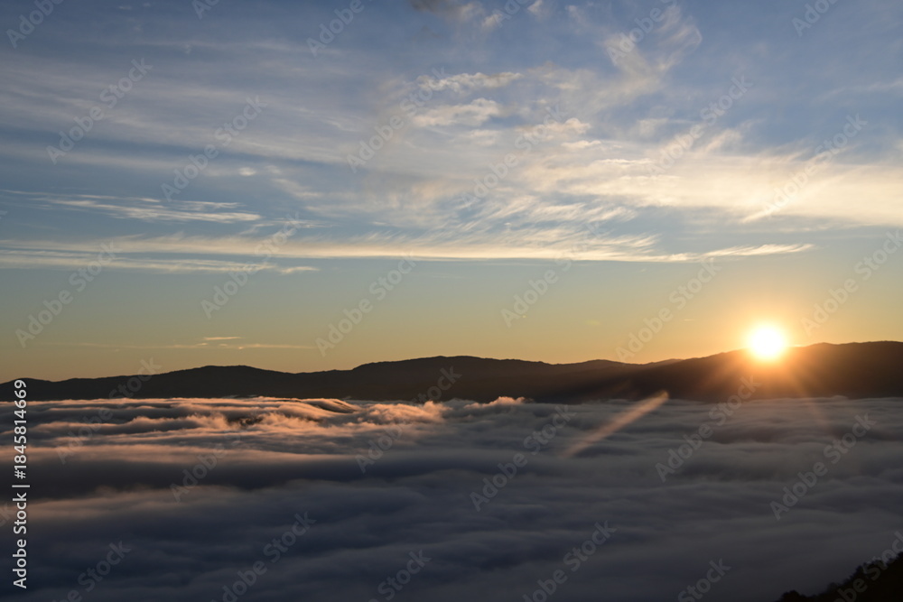 Fototapeta premium beautiful