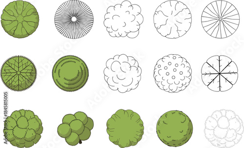 Flat tree foliage collection, bushes, greenery, round leaves, tree top views, bush patterns, plant textures, flat vector illustration