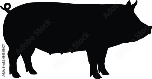 Pig silhouette standing profile, black vector icon, farm animal graphic, livestock illustration, curly tail shape, agriculture design element