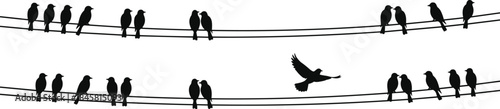 Silhouette birds perched on electrical wires with one bird in flight, wildlife nature scene, minimal black illustration of songbirds outdoors