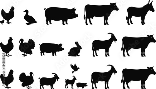 Silhouette collection of farm animals including chickens, ducks, pigs, cows, goats, rabbits, and donkeys for agricultural design, livestock illustration, countryside themes