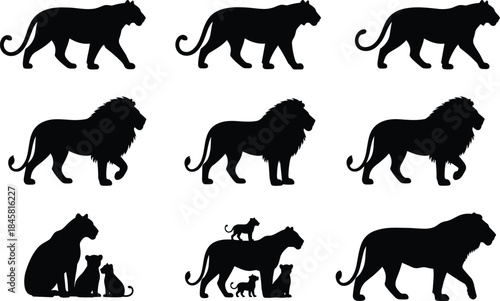 Silhouette collection of lions, lionesses, and cubs showing walking poses, family groups, majestic male lions, wildlife illustrations, animal kingdom and safari themes