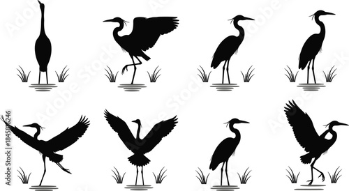 Silhouette collection of herons and cranes in various poses including standing, flying, and wading birds with reeds for nature design projects.