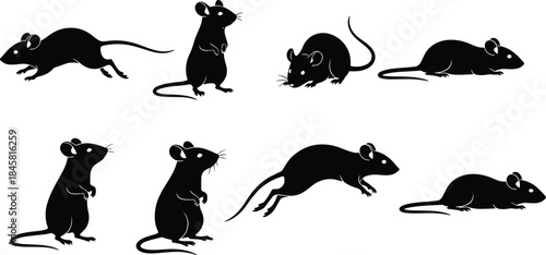 Silhouette collection of mice and rats in various poses including standing, running, crouching, and leaping, perfect for animal graphics and illustrations