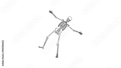 Dancing human skeleton outline with playful pose on white background