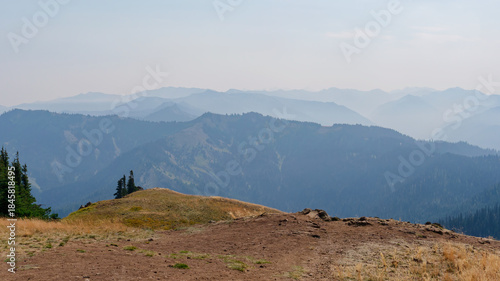 Schilderij op canvas Scenic panoramic view of layered misty mountain ridges in Olympic National Park, Washington State, USA