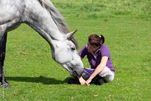 Pretty young woman sits chatting to her grey horse in its field on a summers day in rural Shropshire UK as it sniffs her and shows love and trust.