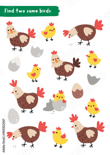 Find two same farm bird. Easter village matching activity for children. Spring holiday educational quiz worksheet for kids. Printable game with cute hares with hatching chick, eggs and hens
