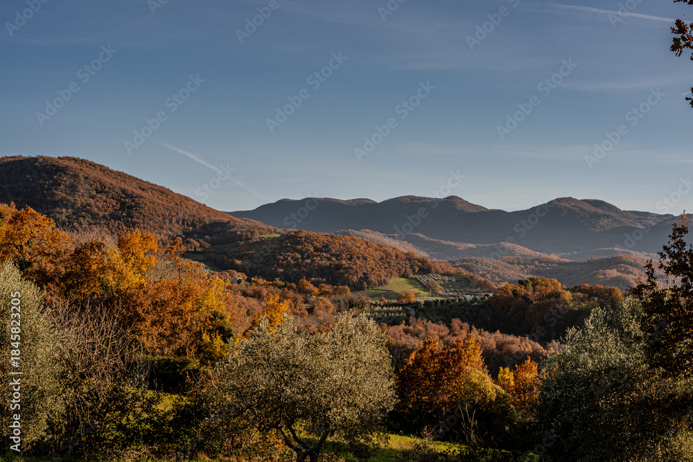 Naklejka premium Molise is an Italian region with a stretch of coast overlooking the Adriatic Sea. It includes a part of the Abruzzo National Park in the Appennine mountain range, with a rich wildlife and trails.