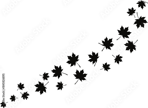 Maple leaves ascending in a diagonal line isolated on transparent background