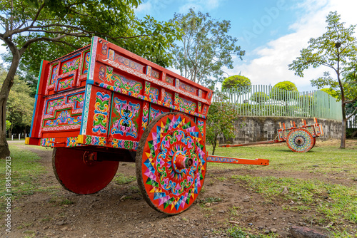 Photography Colorful traditional ox carts from Costa Rica decorated with folkloric motifs in a rural outdoor setting